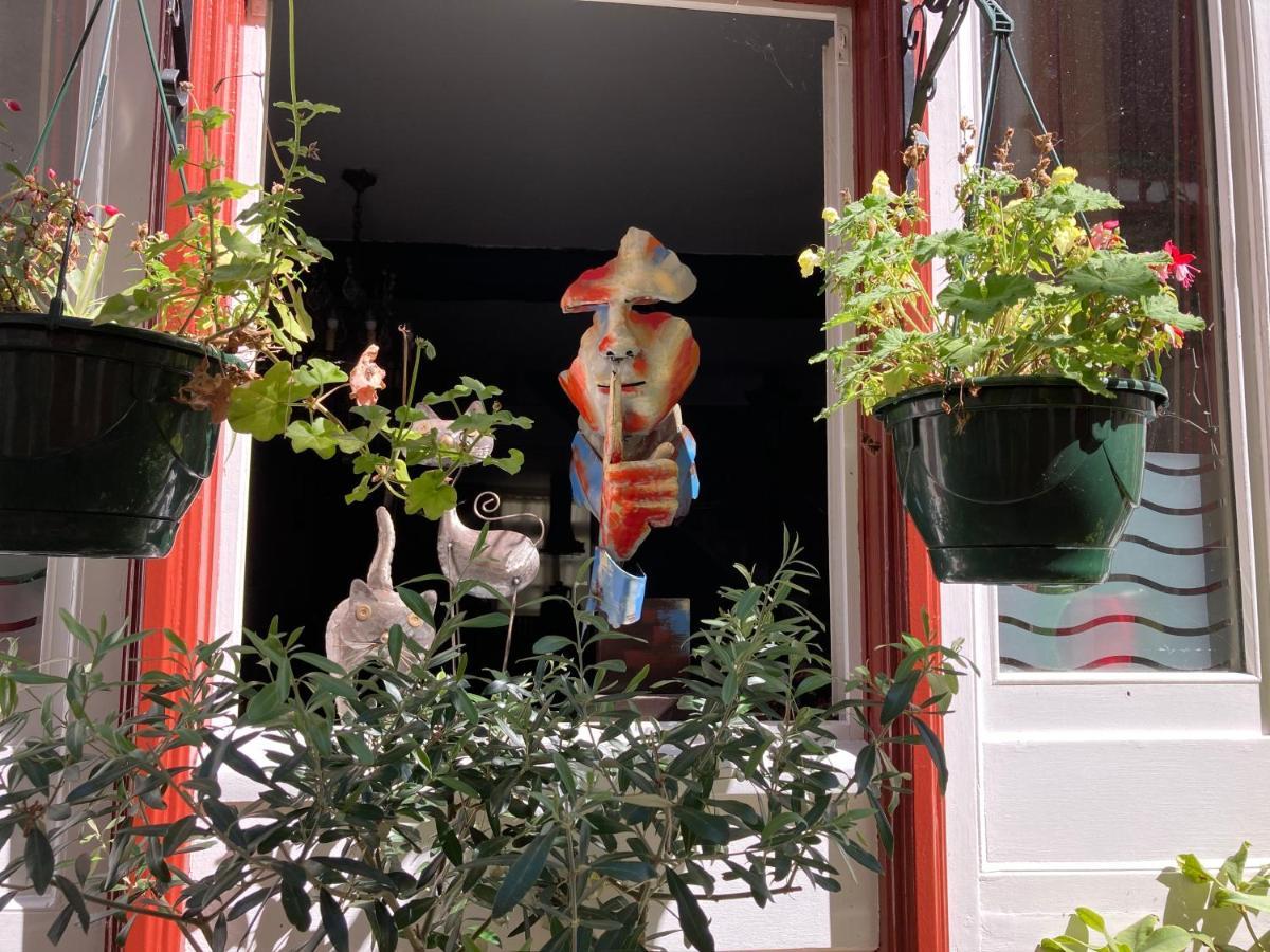 Les Orchidees Bed and Breakfast Salies-de-Béarn Eksteriør billede